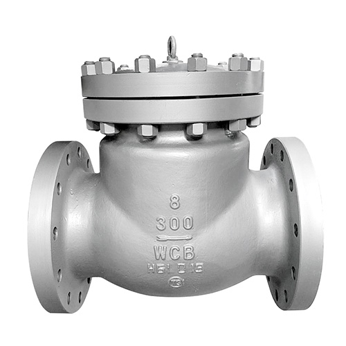 Cast steel check valve