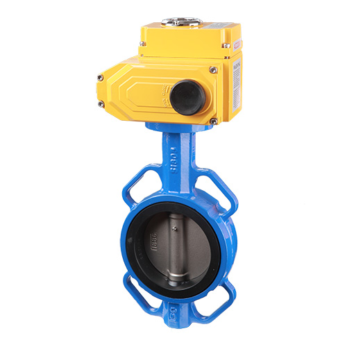 Concentric butterfly valve with actuator