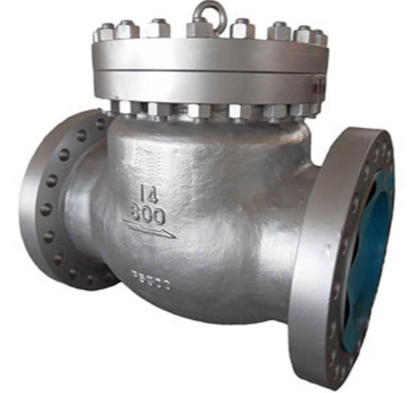 Cryogenic Check Valve