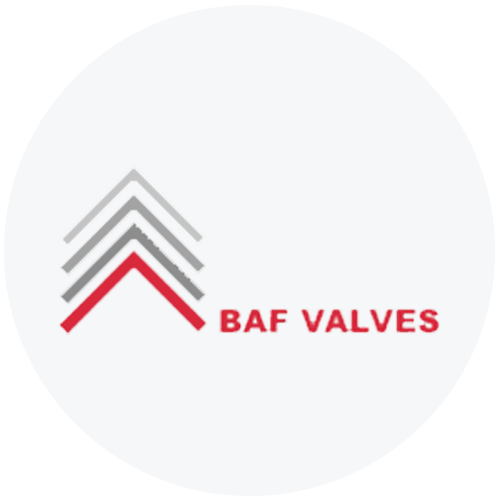 BAF Valves Logo