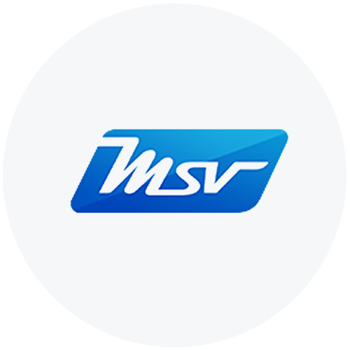 Macneil Steel and Valves Logo