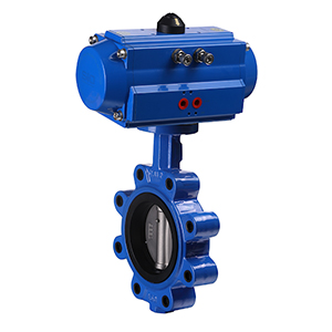 Lug Type End Butterfly Valve